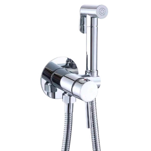 Смеситель с гигиеническим душем встраиваемый RUSH Capri CA1435-98